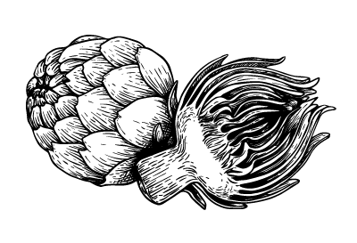 artisjokken