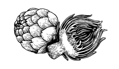 bg_webshop_bw illustratie artisjokken